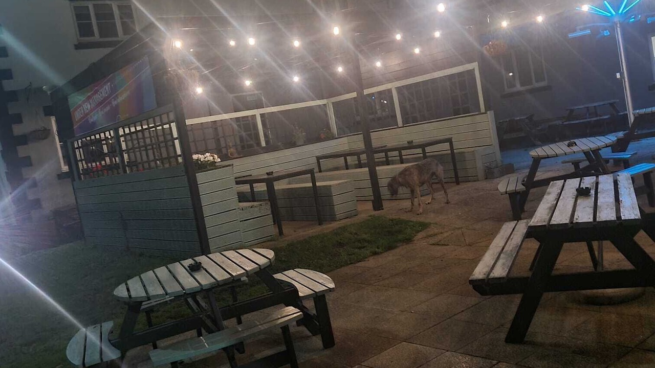 Photo of Outdoor in Chapeltown