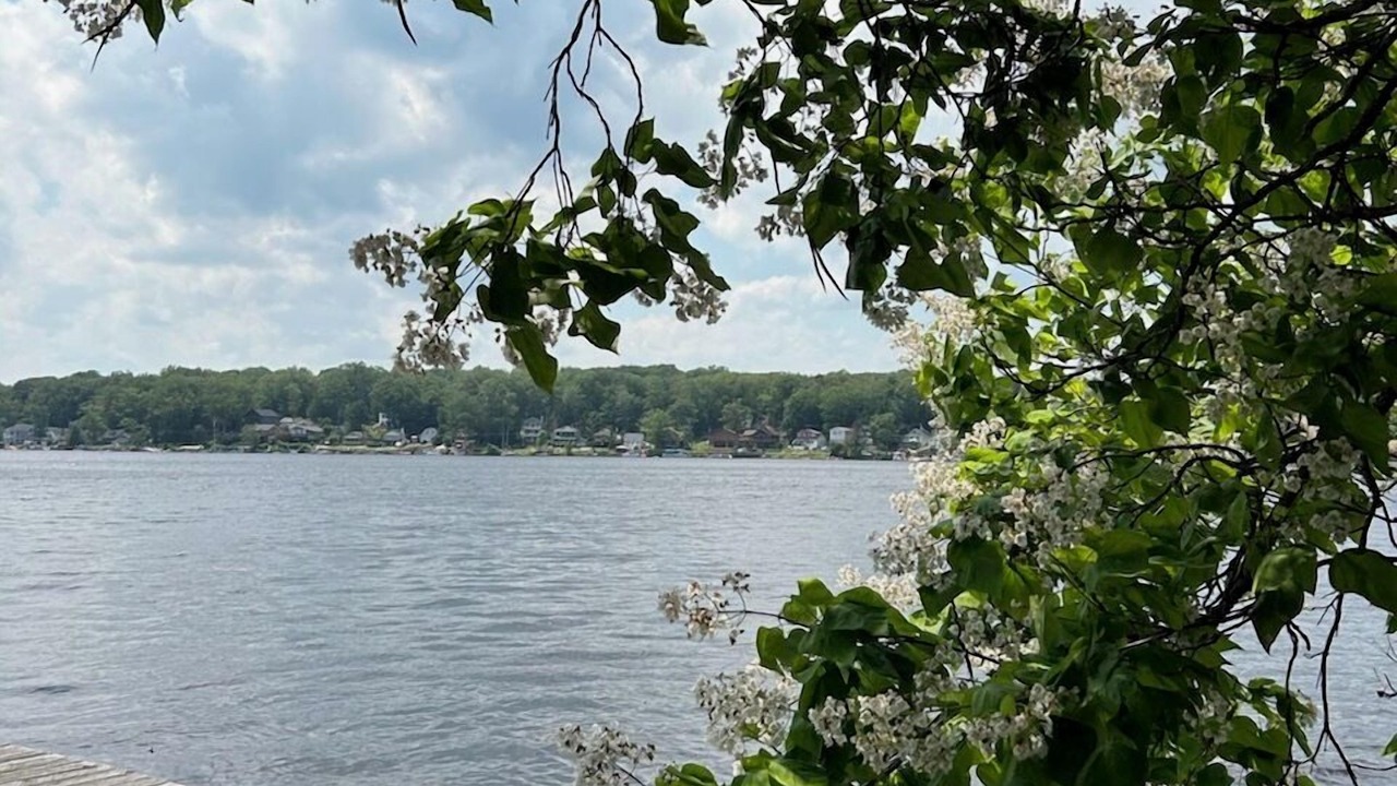 Photo of Others in Highland Lake