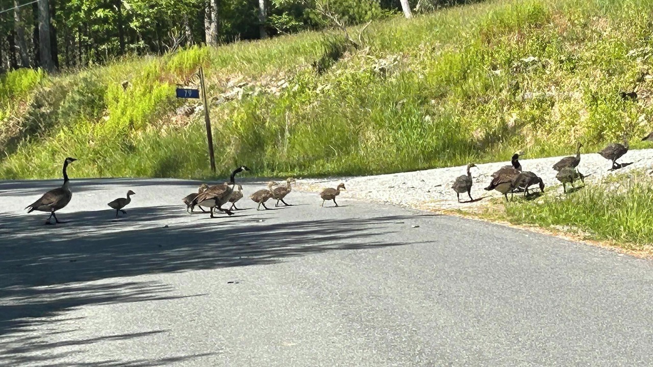 Photo of Others in Highland Lake