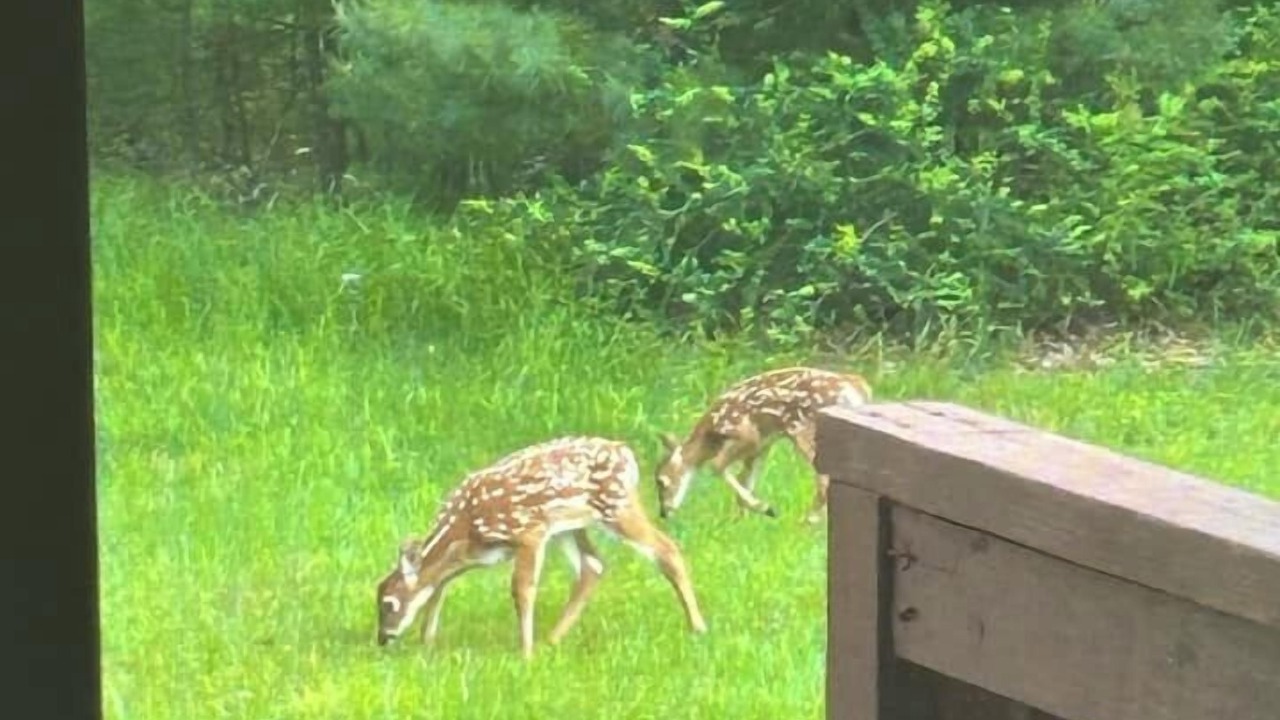 Photo of Others in Highland Lake