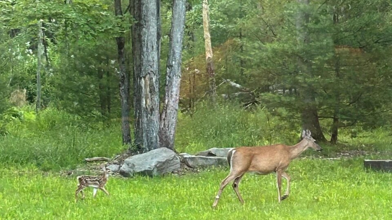 Photo of Others in Highland Lake