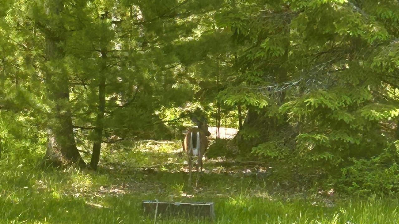 Photo of Others in Highland Lake