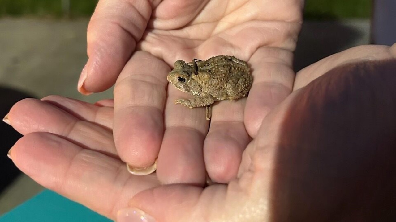 Photo of Others in Highland Lake