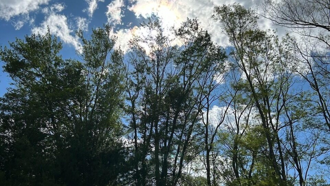 Photo of Others in Highland Lake