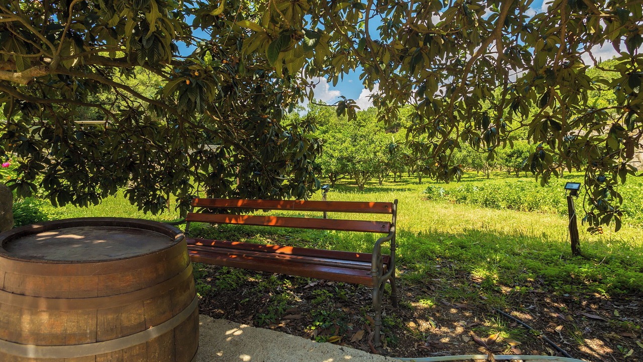 Photo of Outdoor in Popovici