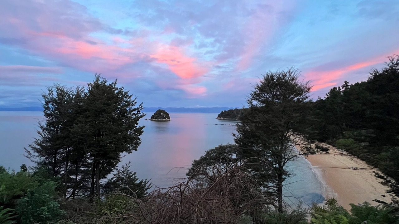 Photo of Others in Ngaio Bay