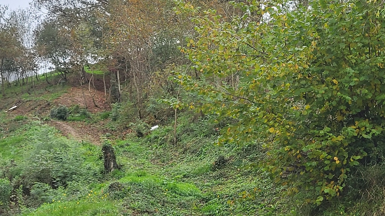 Photo of Outdoor in Morga