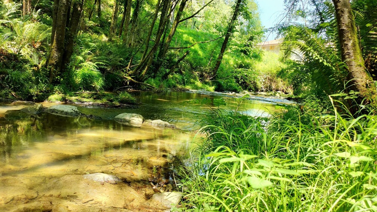 Photo of Outdoor in Morga