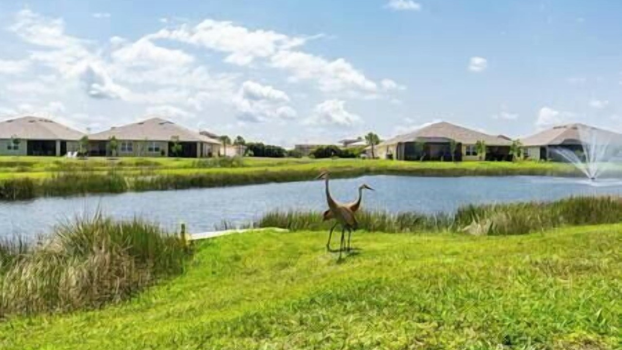 Photo of Outdoor in Punta Gorda