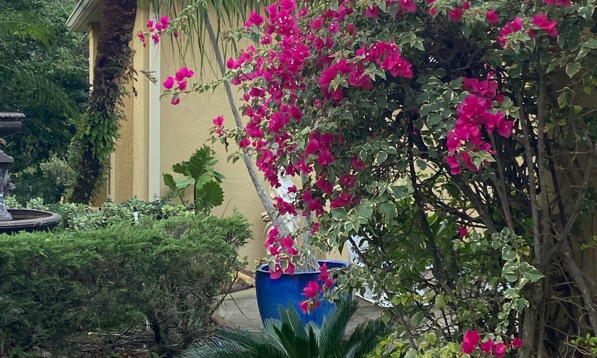 Photo of Outdoor in Braden River