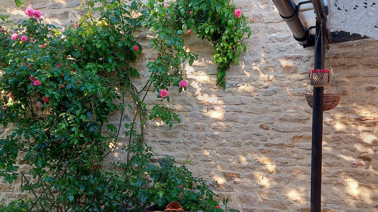 Photo of Outdoor in Chardonnay