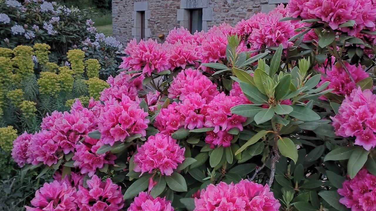 Photo of Outdoor in Pluvigner