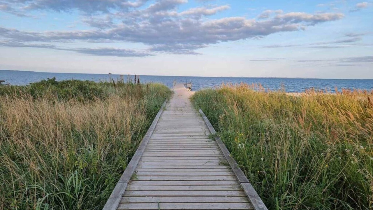 Photo of Others in Lystrup