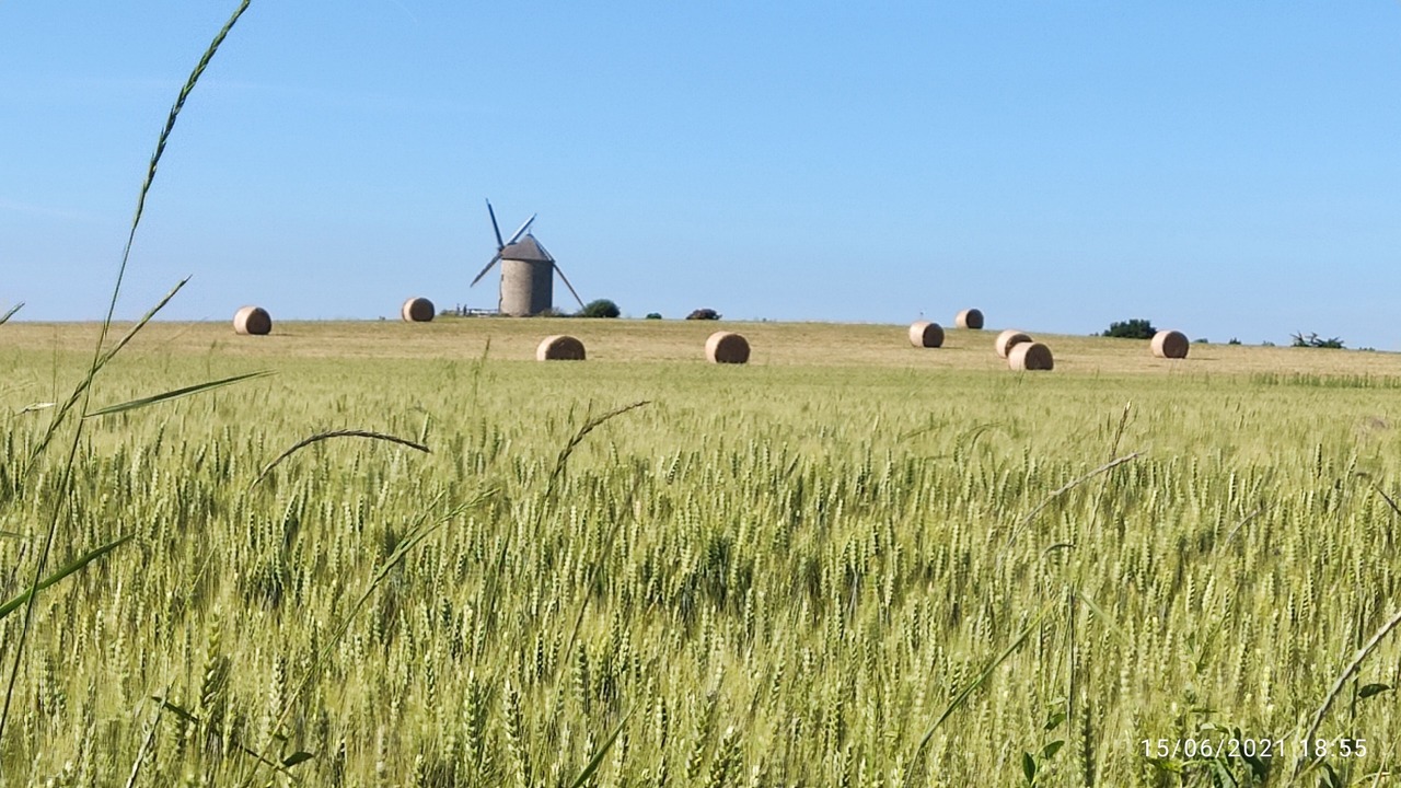 Photo of Others in Beauvoir