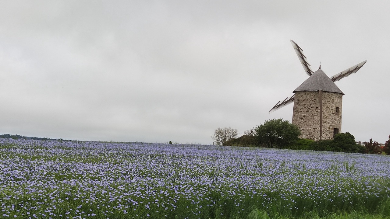 Photo of Others in Beauvoir