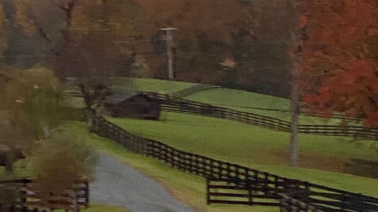 Photo of Others in Bremo Bluff