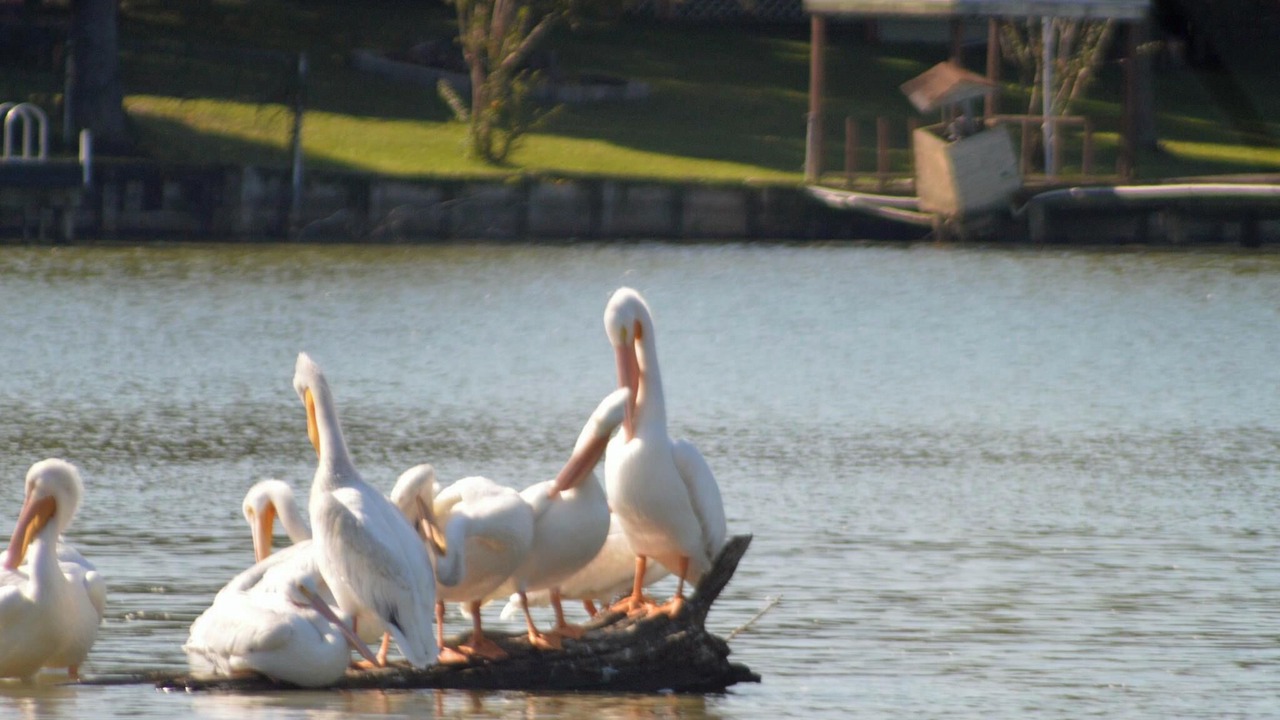 Photo of Others in Onalaska