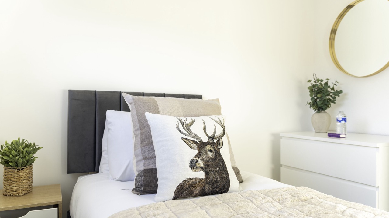 Photo of Others in Clydebank