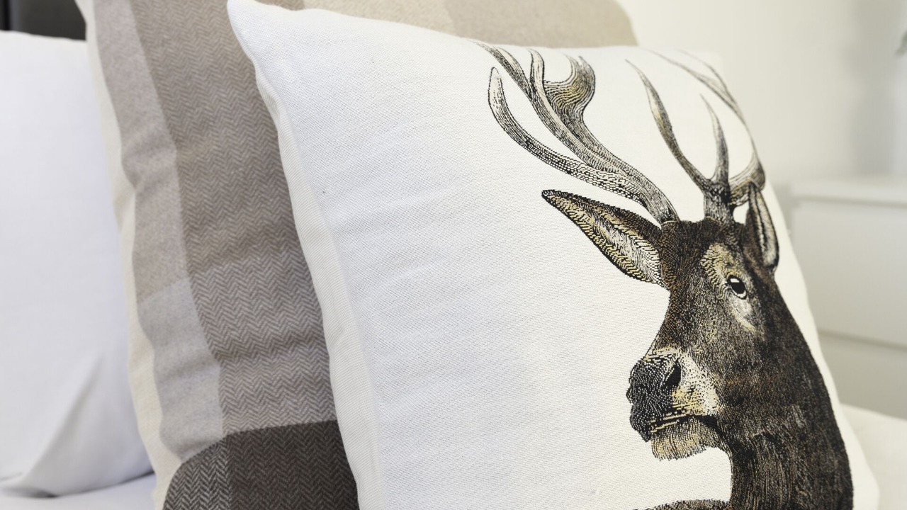 Photo of Others in Clydebank