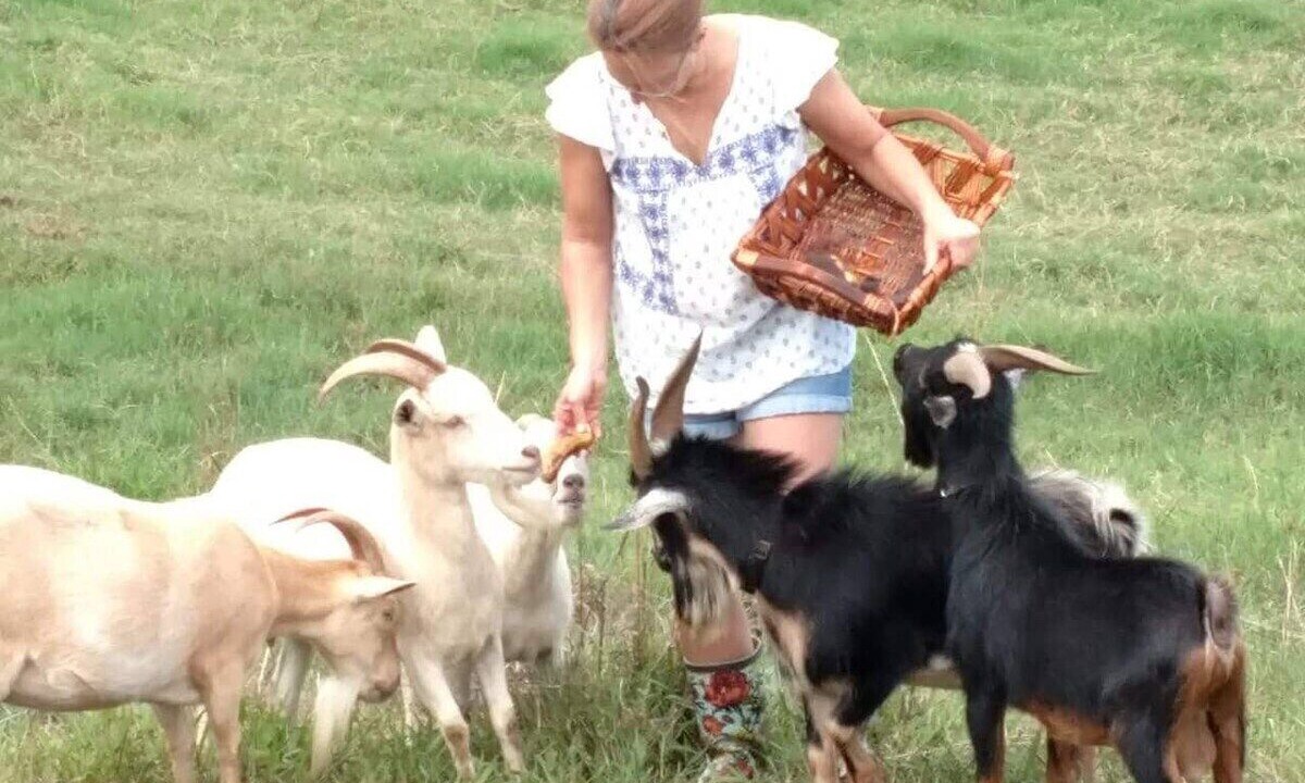 Photo of Others in Hilo