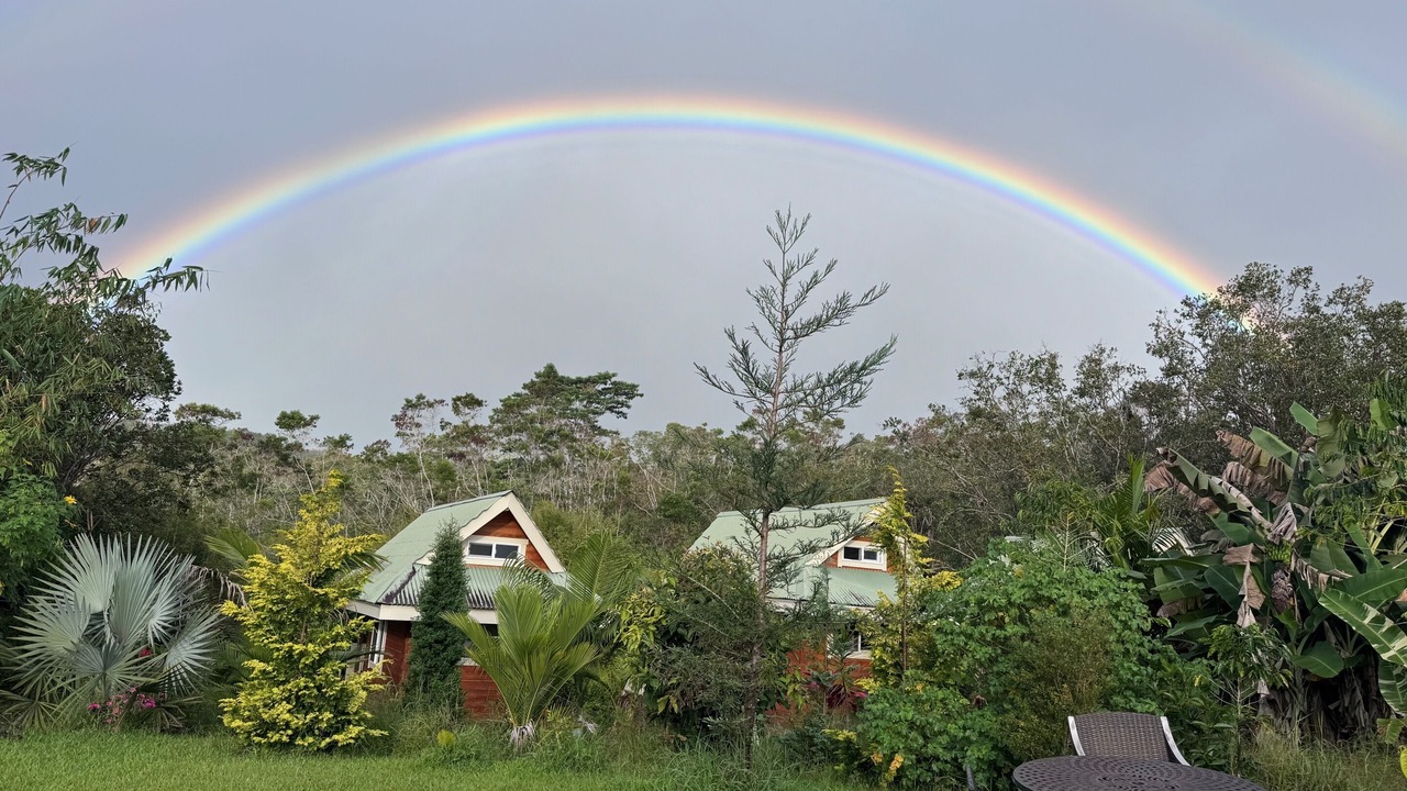 Photo of Outdoor in Hilo