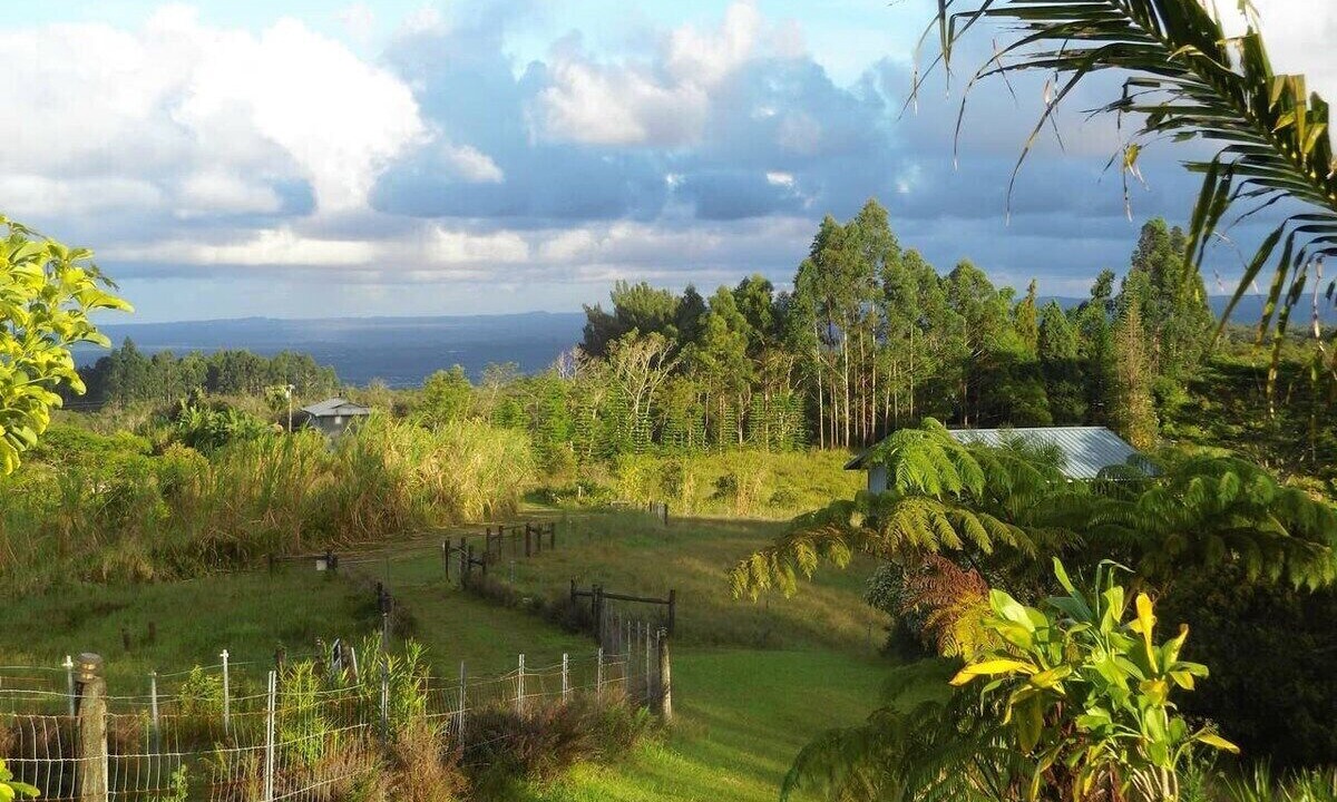 Photo of Others in Hilo