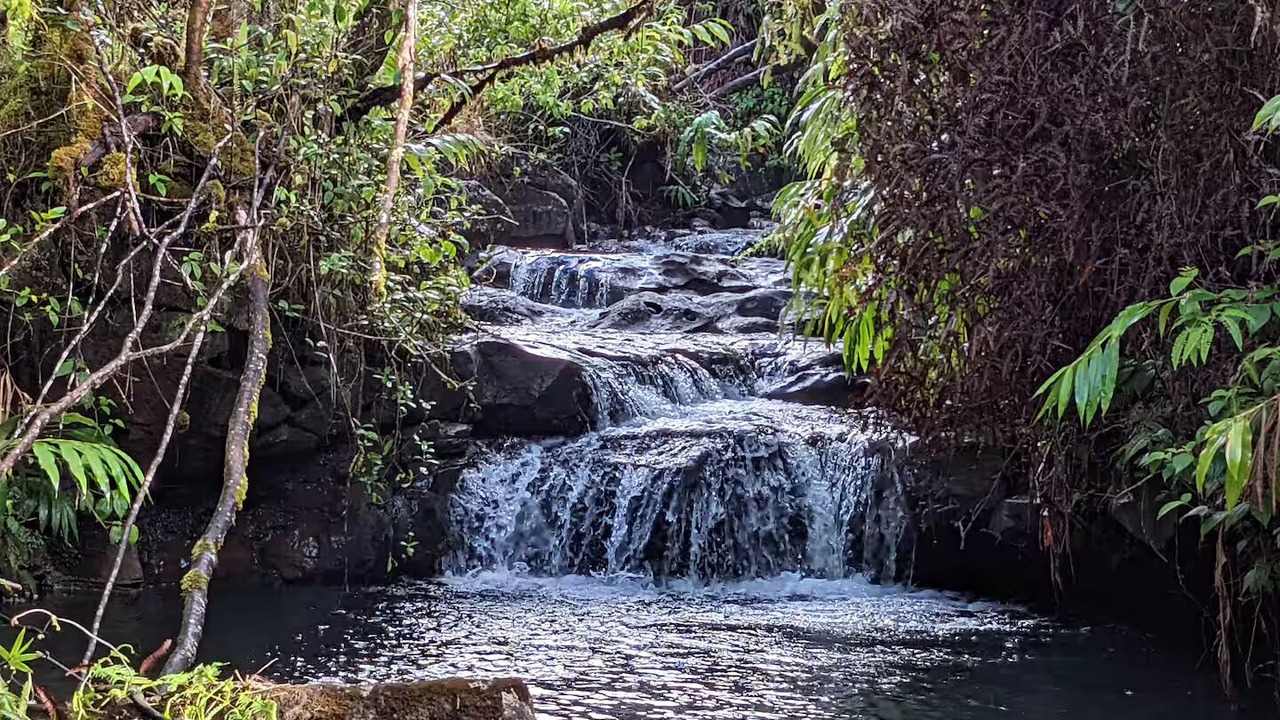 Photo of Outdoor in Hilo