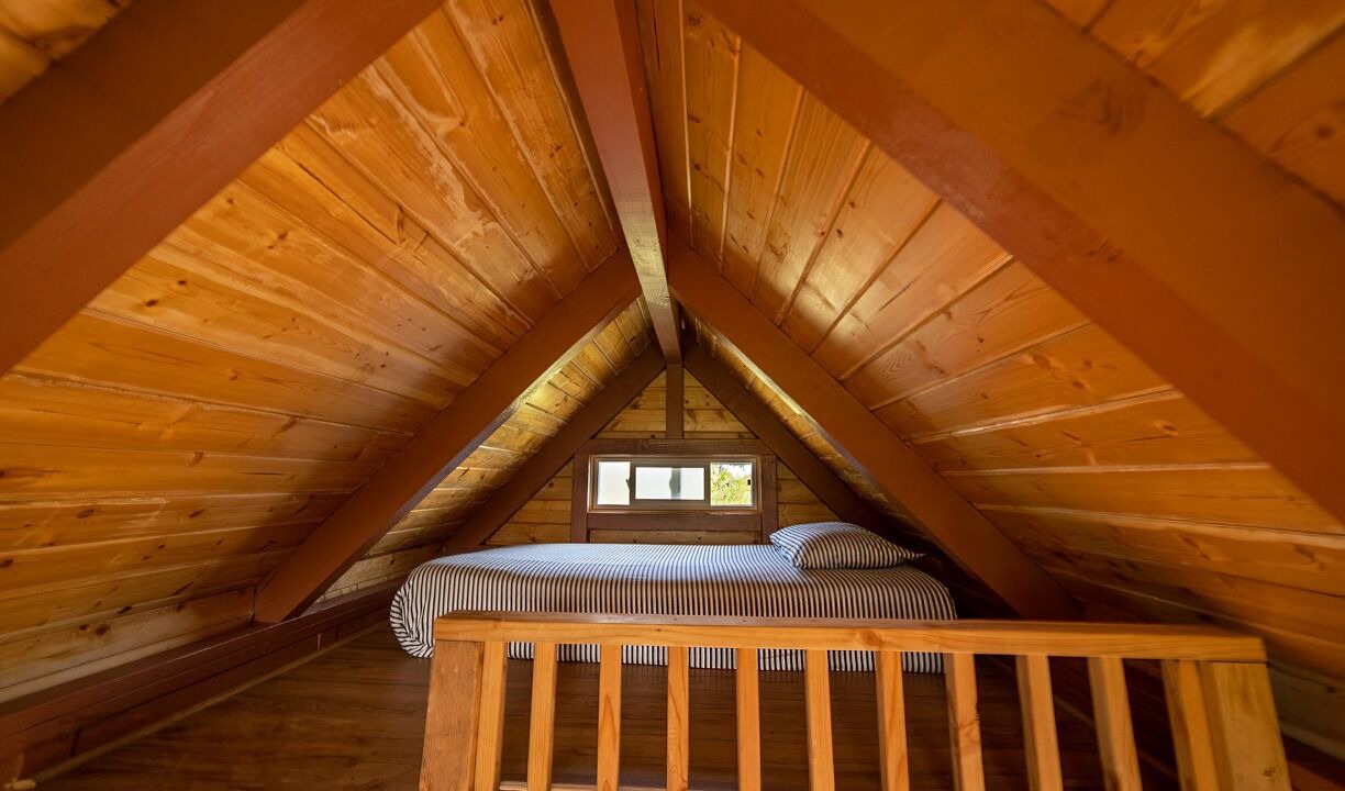 Photo of Others in Hilo