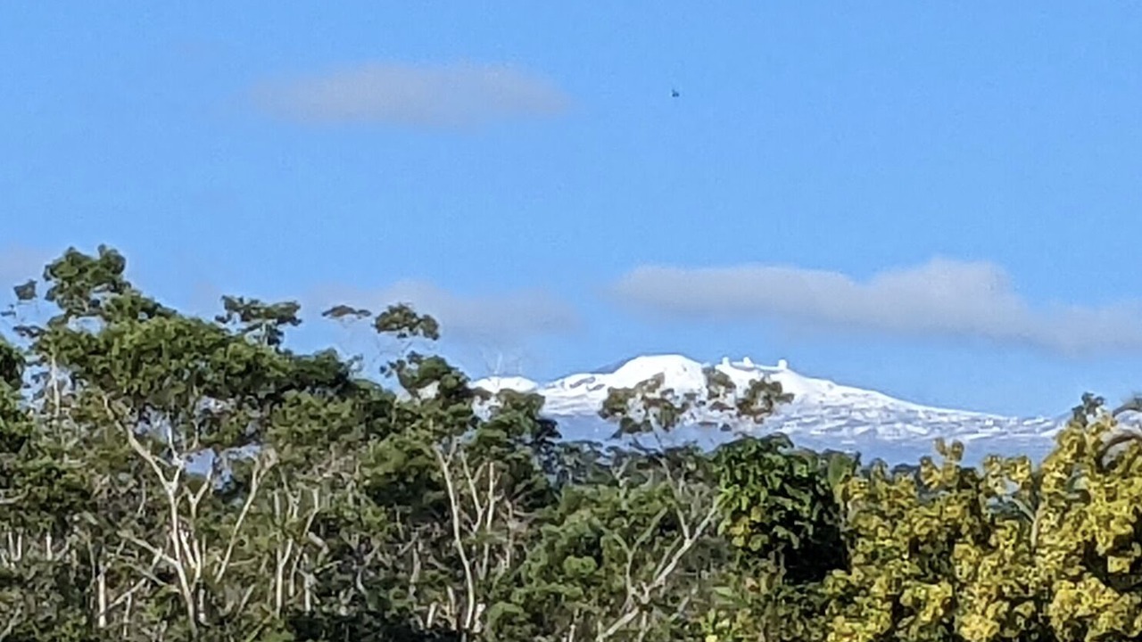 Photo of Others in Hilo