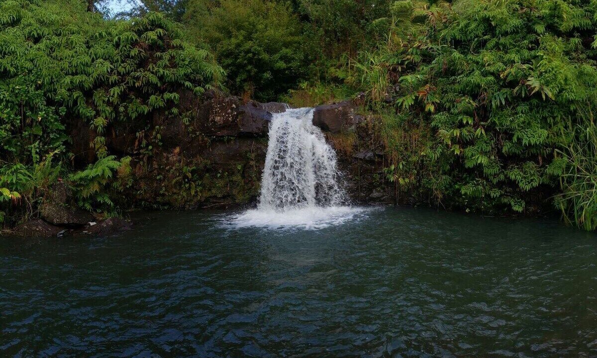 Photo of Others in Hilo
