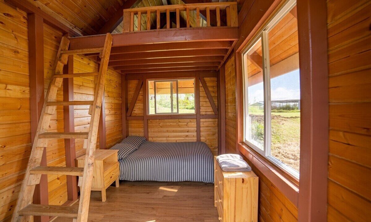 Photo of Others in Hilo