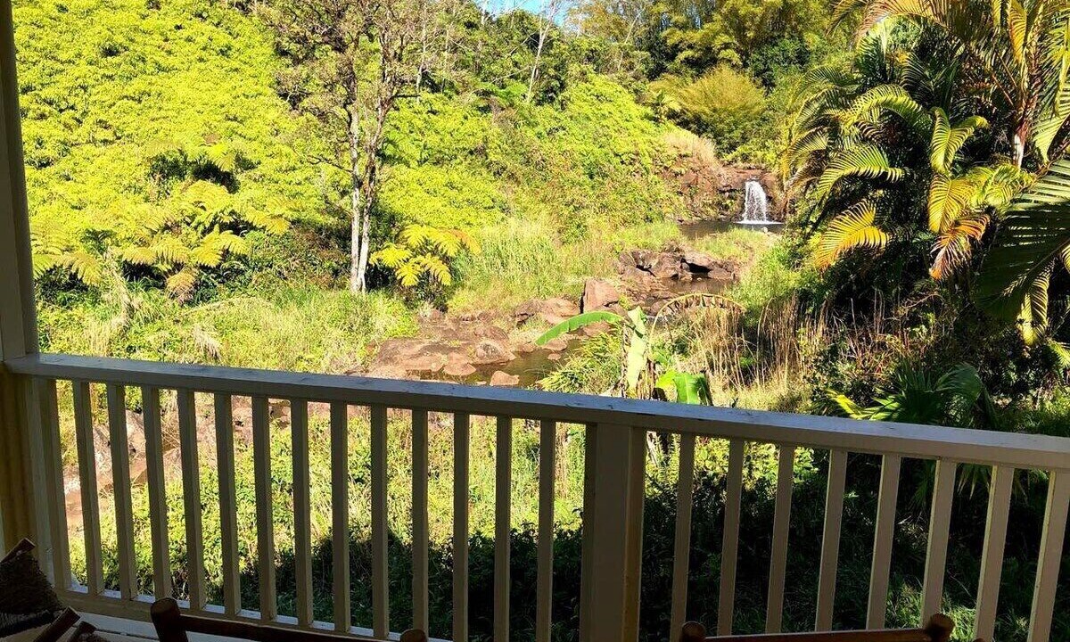 Photo of Outdoor in Hilo