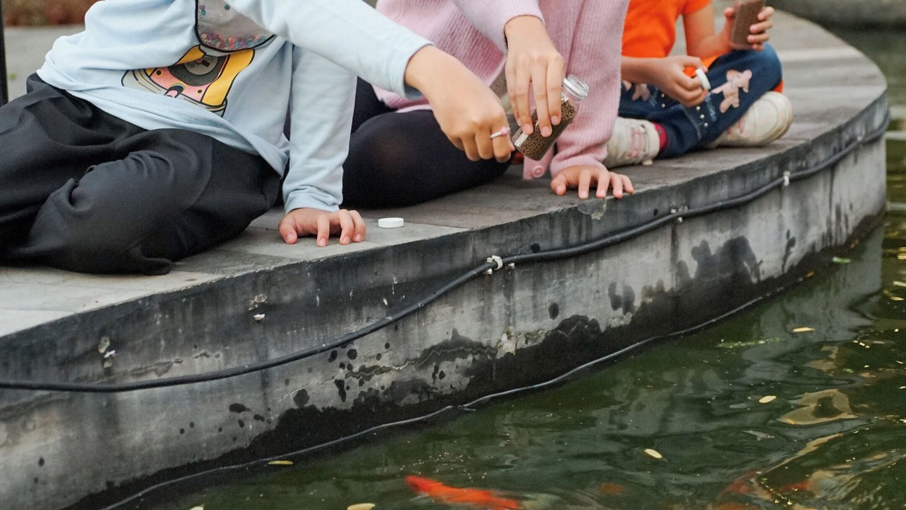Photo of Outdoor in Prambanan