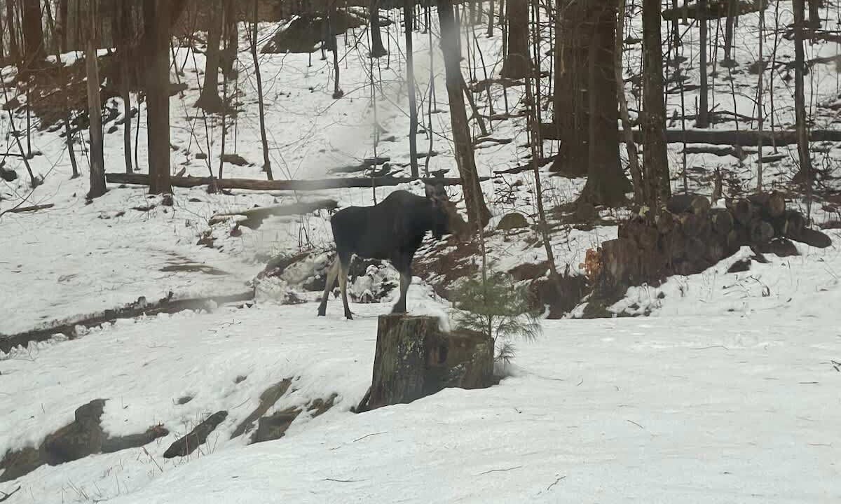 Photo of Others in Warren