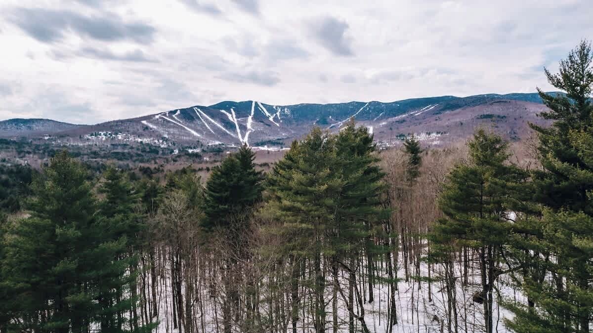 Photo of Others in Warren