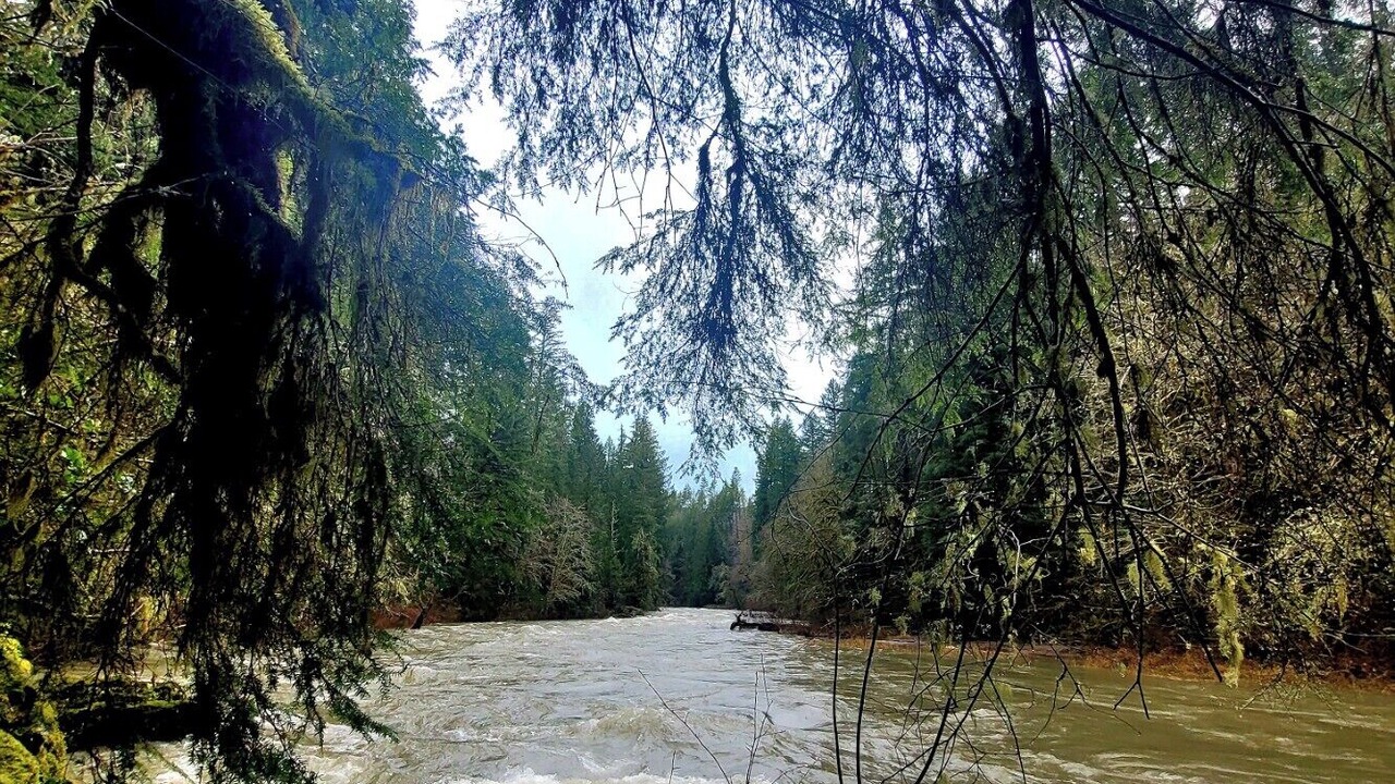 Photo of Outdoor in Kalama