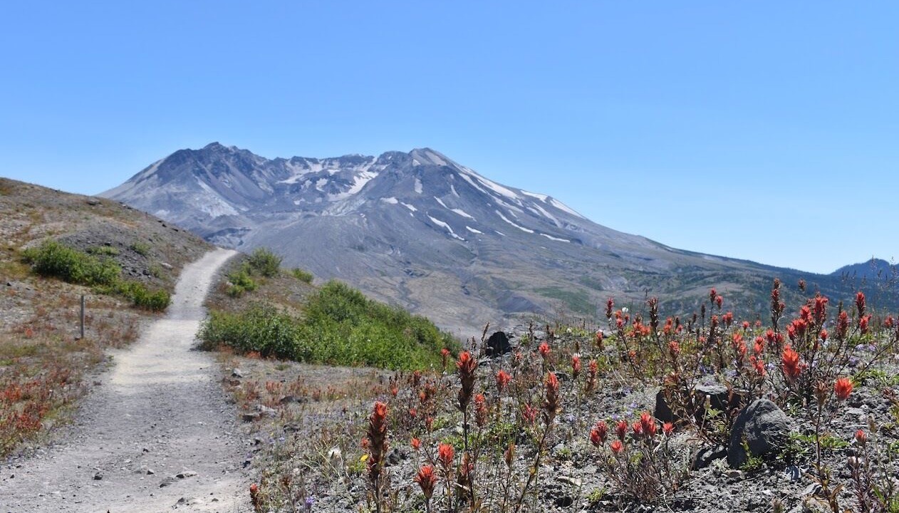 Photo of Outdoor in Kalama