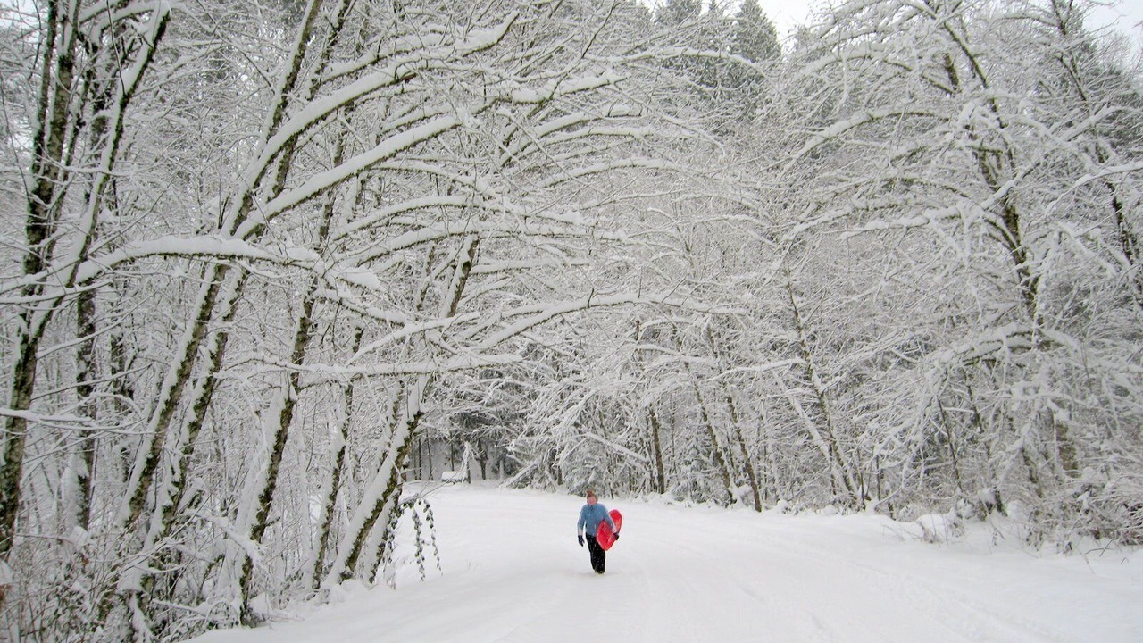 Photo of Outdoor in Kalama