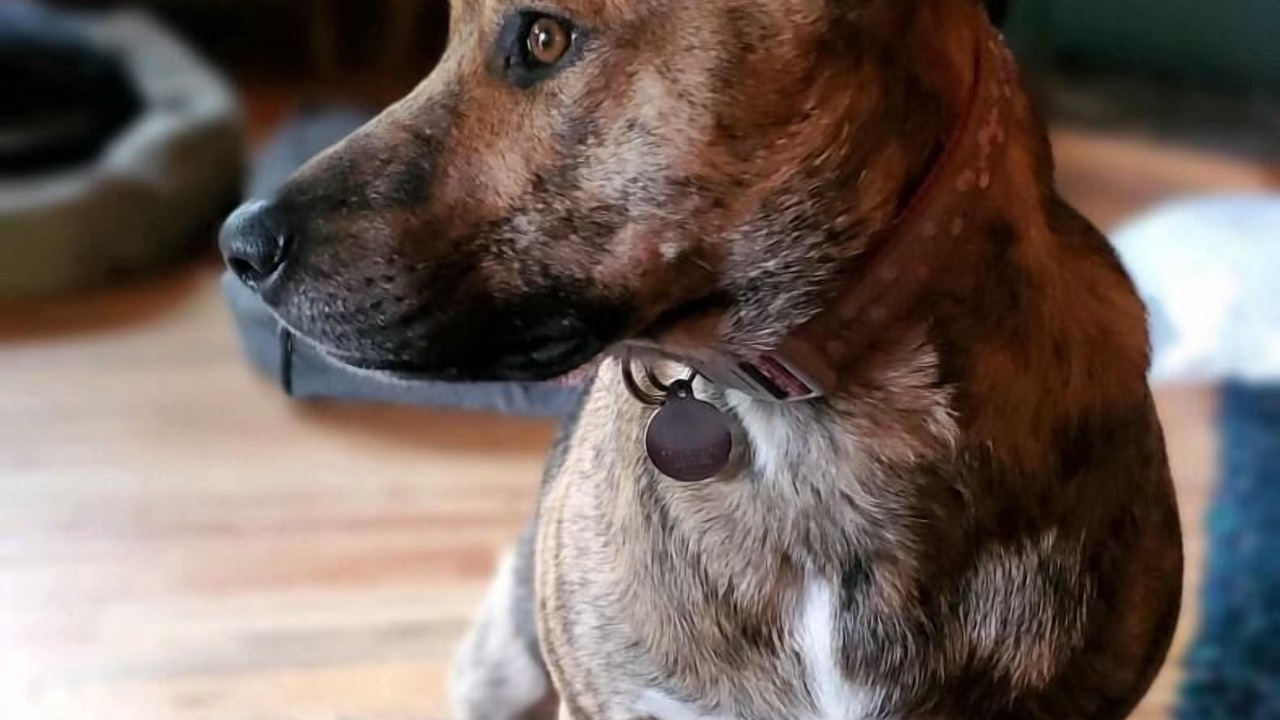 Photo of Others in Kalama