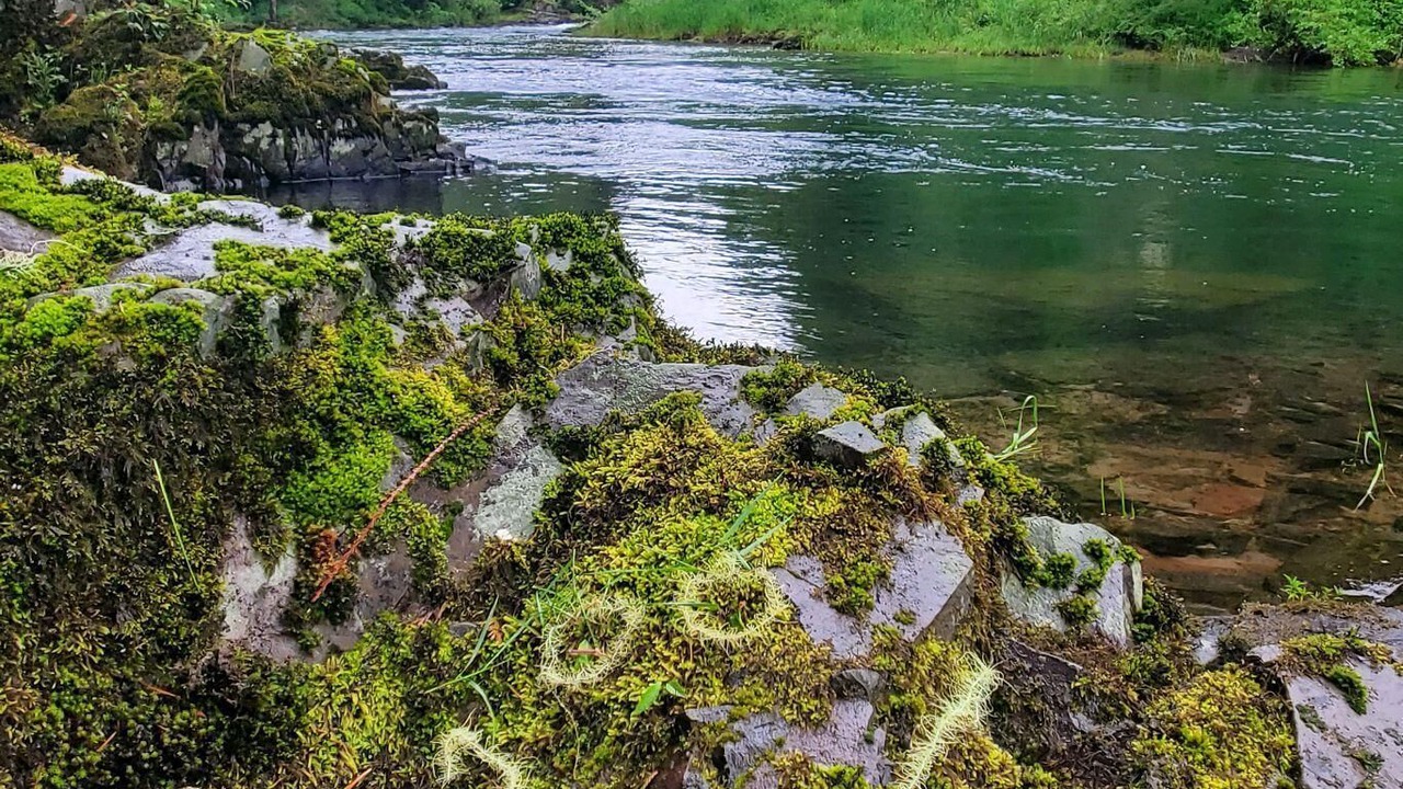 Photo of Outdoor in Kalama