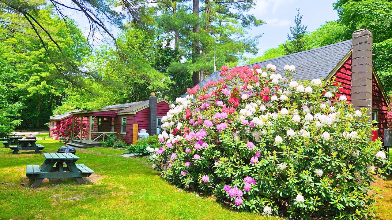 Photo of Outdoor in Phoenicia