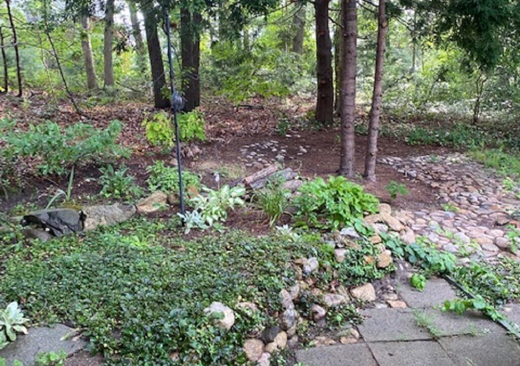 Photo of Outdoor in Forestdale