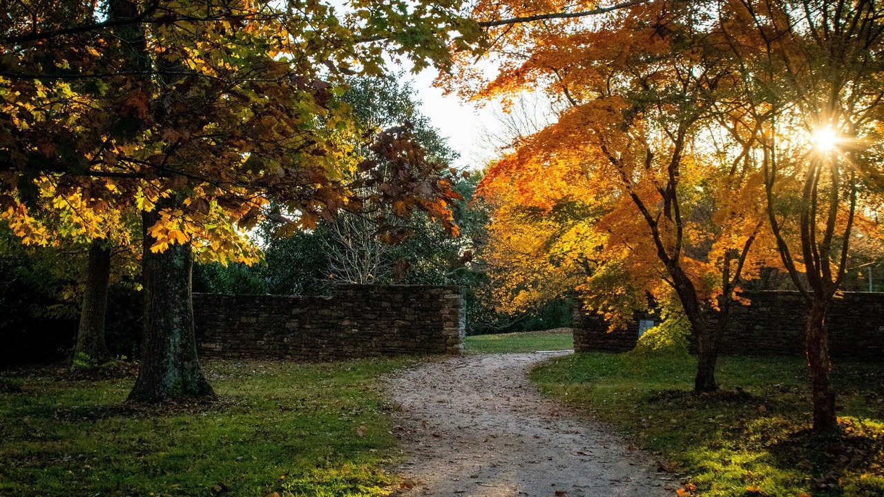 Photo of Outdoor in Kingston