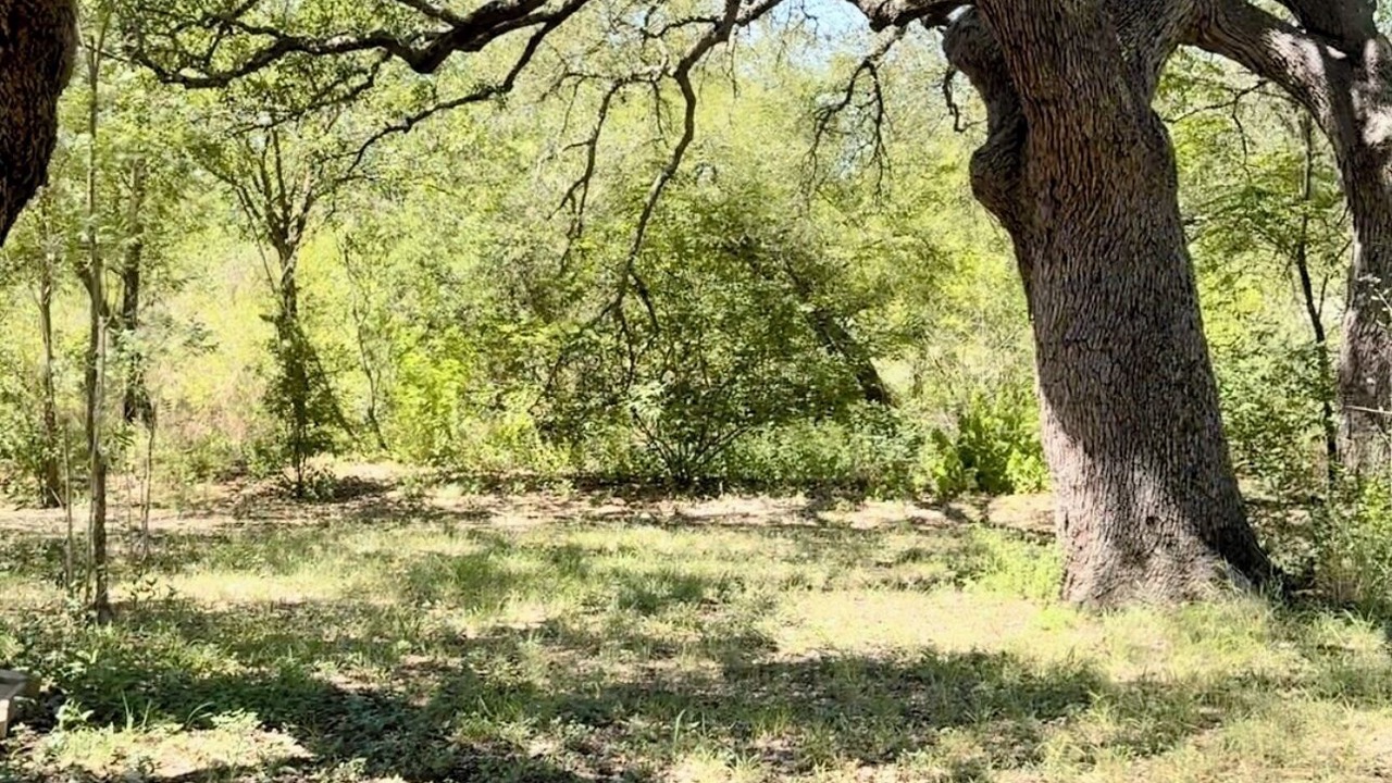 Photo of Others in Castroville