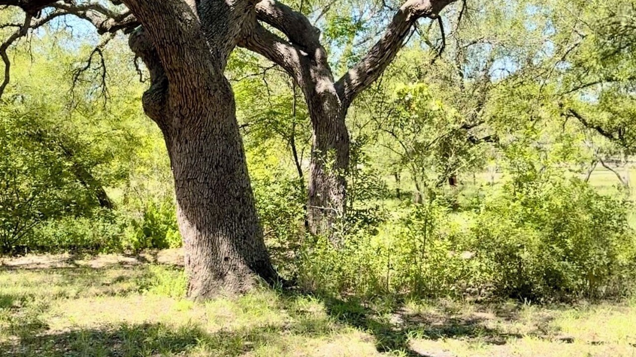 Photo of Others in Castroville