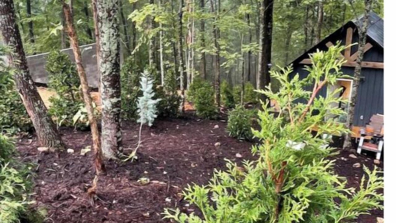 Photo of Outdoor in Cosby