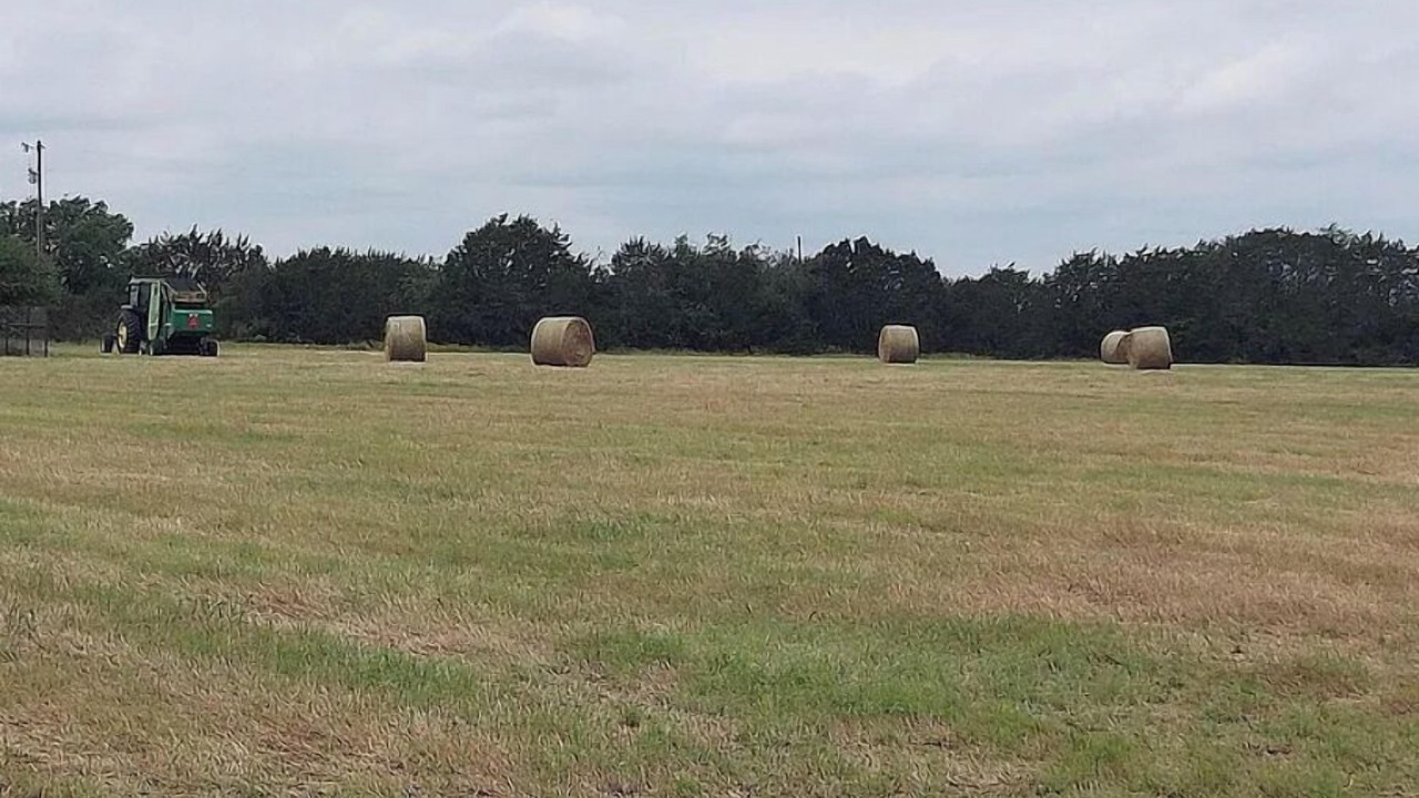 Photo of Others in Hico