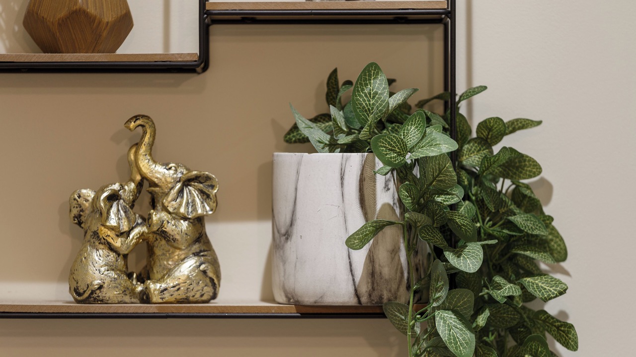 Photo of Others in Bradford