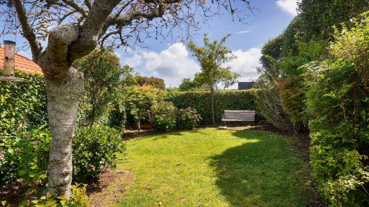 Photo of Outdoor in Auckland