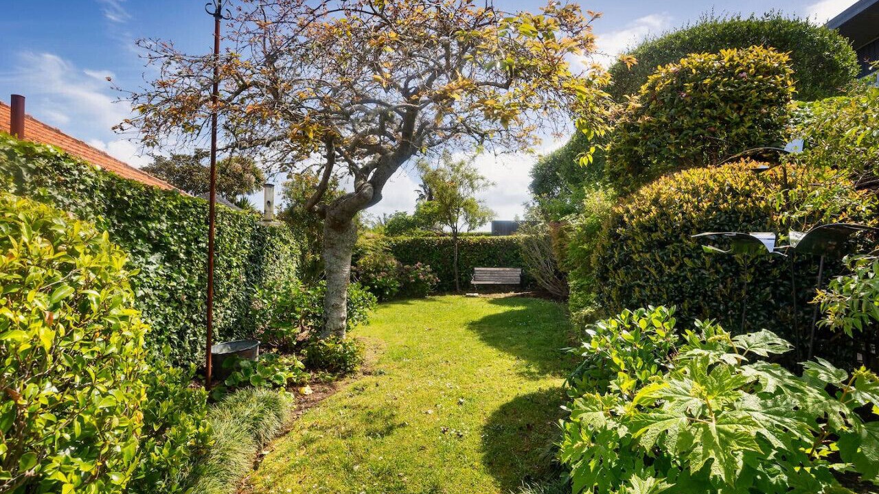 Photo of Outdoor in Auckland